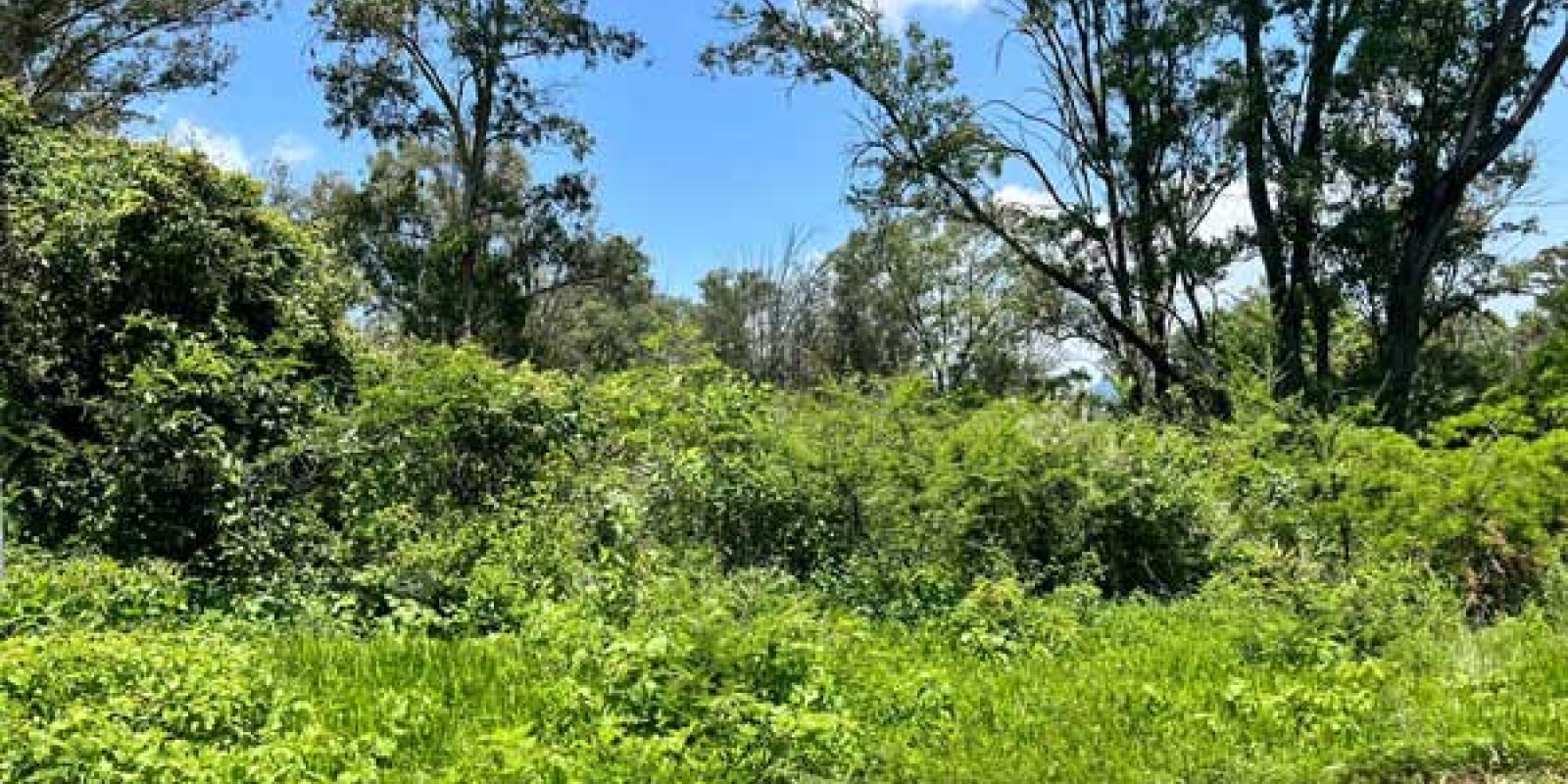 43BK Agua Clara, Agua Escondida, ,Terreno,En Venta,Agua Clara,1008