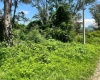 42 BK Agua Clara, Agua Escondida, 45850, ,Terreno,En Venta,Agua Clara,1009