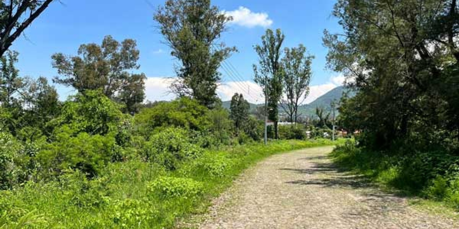 42 BK Agua Clara, Agua Escondida, 45850, ,Terreno,En Venta,Agua Clara,1009